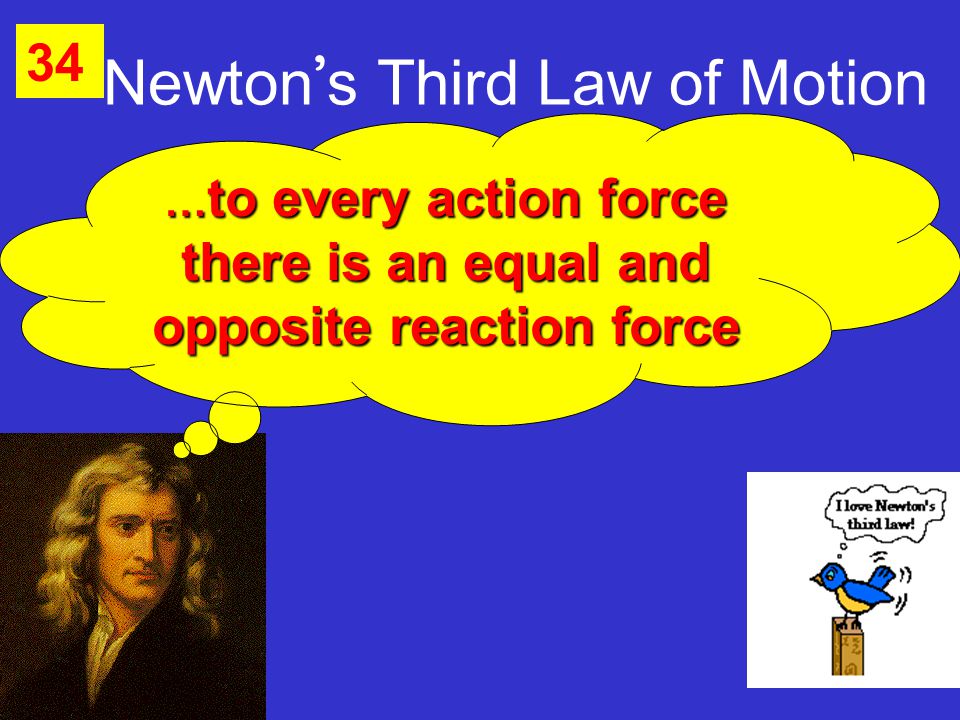Newton ’ s Third Law of Motion 34 … to every action force there is an equal and opposite reaction force