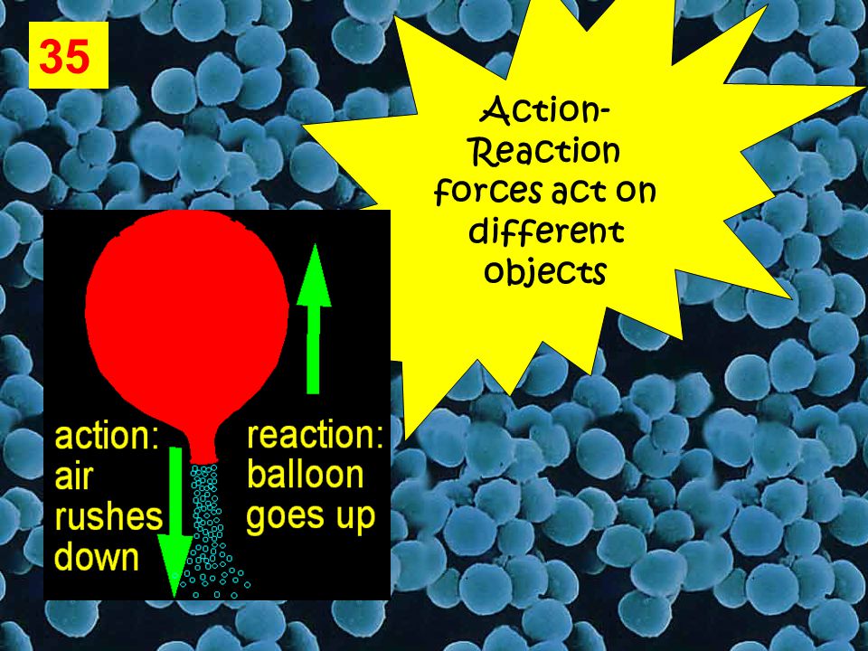 35 Action- Reaction forces act on different objects