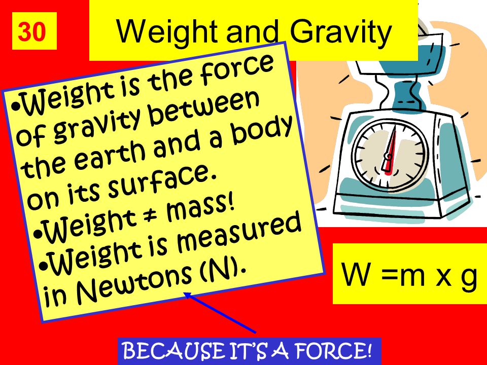 Weight and Gravity 30 W e i g h t i s t h e f o r c e o f g r a v i t y b e t w e e n t h e e a r t h a n d a b o d y o n i t s s u r f a c e.