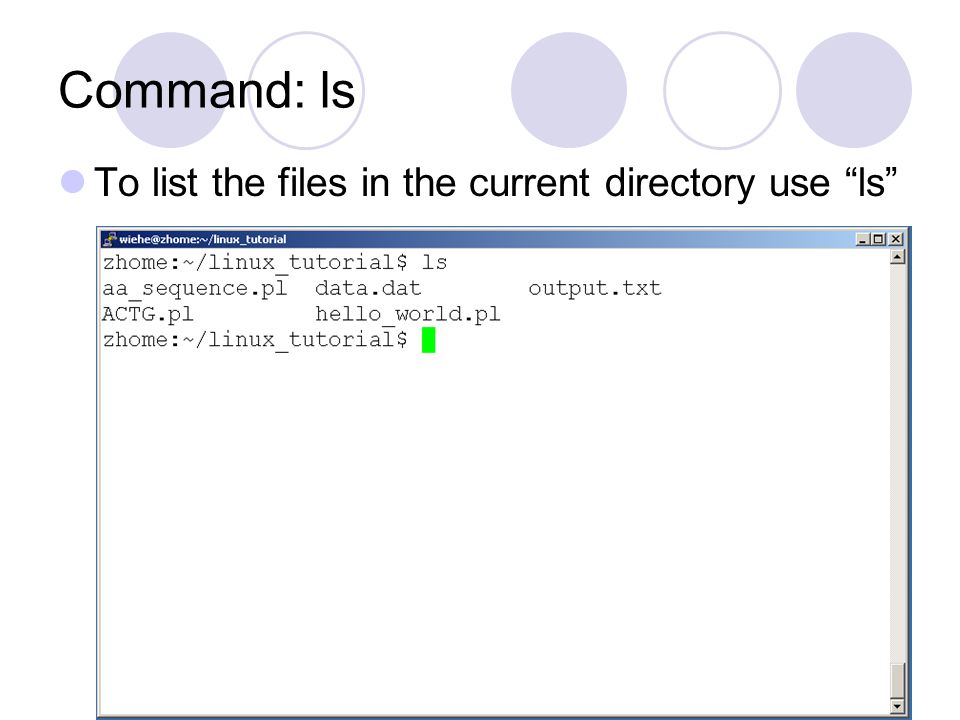 Command: ls To list the files in the current directory use ls
