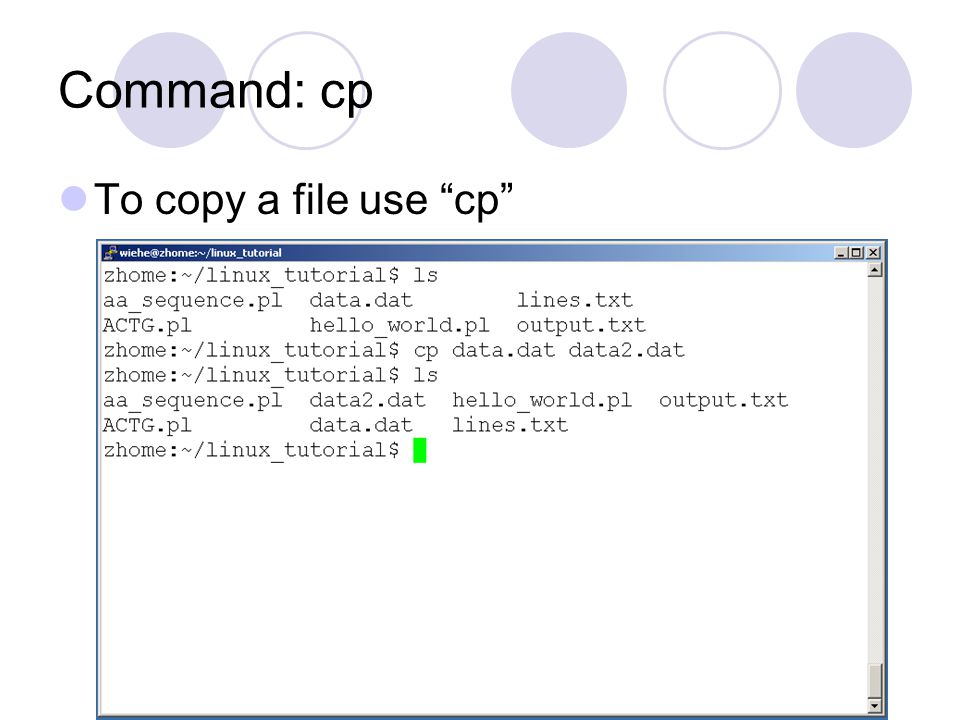 Command: cp To copy a file use cp