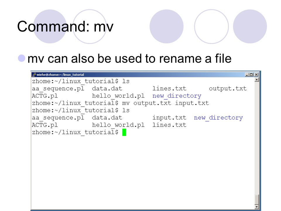 Command: mv mv can also be used to rename a file