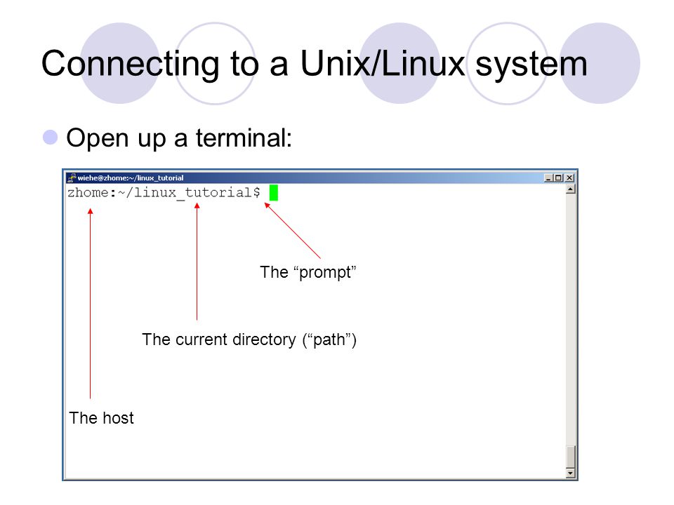 Connecting to a Unix/Linux system Open up a terminal: The prompt The current directory ( path ) The host