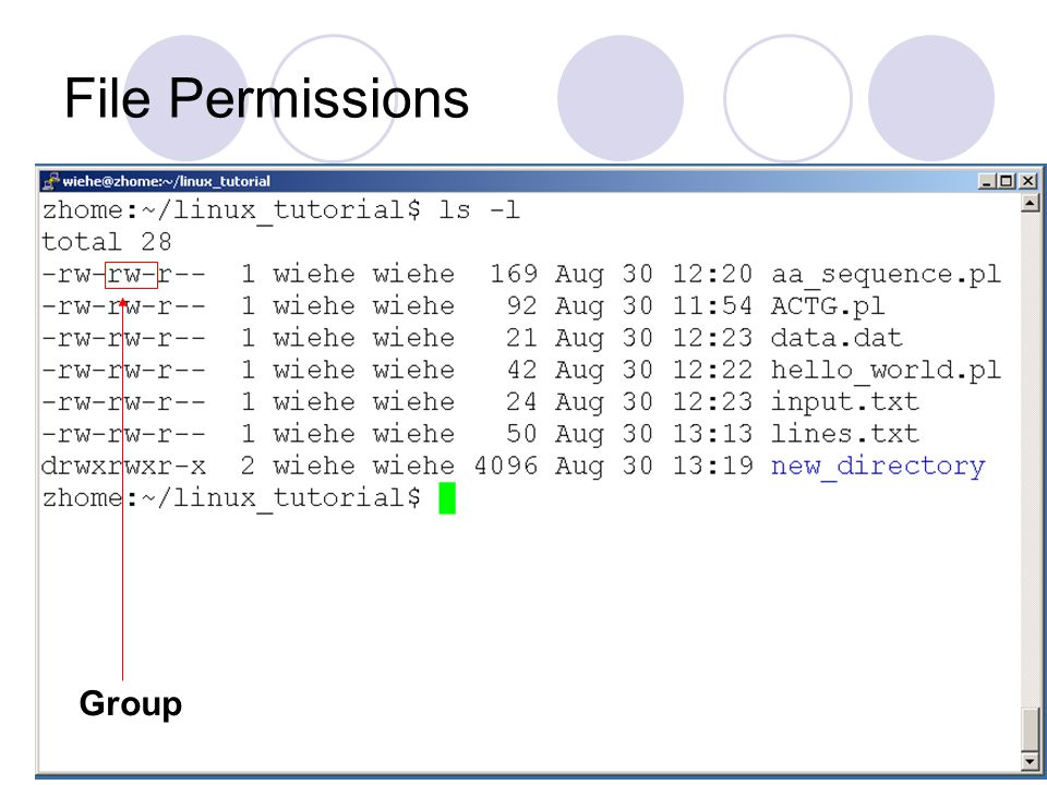 File Permissions Group