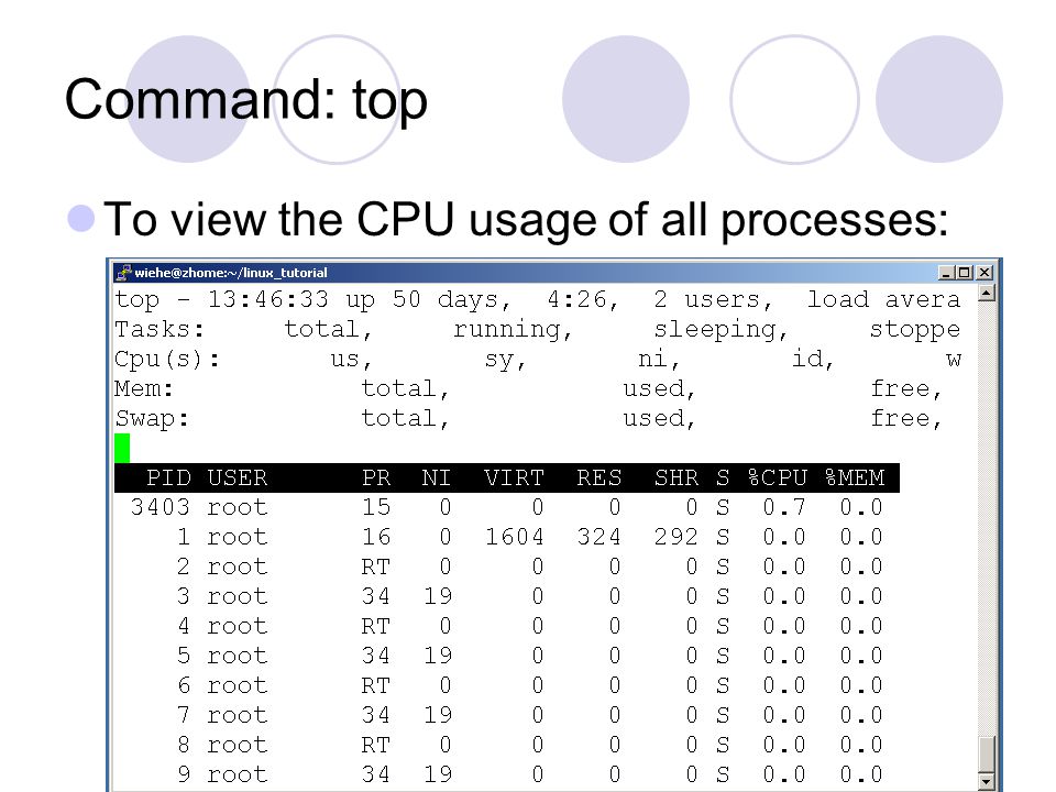 Command: top To view the CPU usage of all processes: