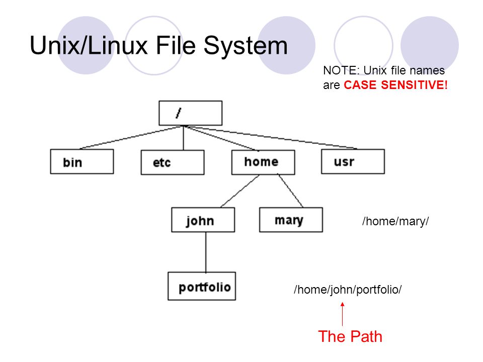 Unix/Linux File System /home/john/portfolio/ /home/mary/ The Path NOTE: Unix file names are CASE SENSITIVE!