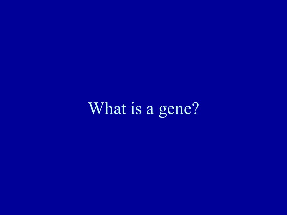 What is a gene