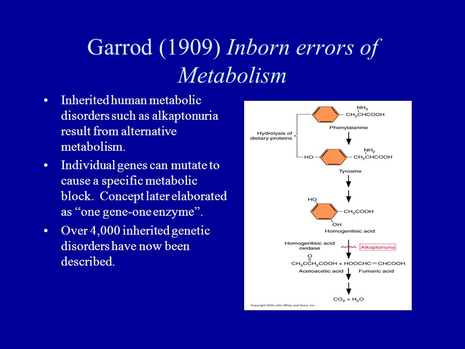 Garrod (1909) Inborn errors of Metabolism Inherited human metabolic disorders such as alkaptonuria result from alternative metabolism.