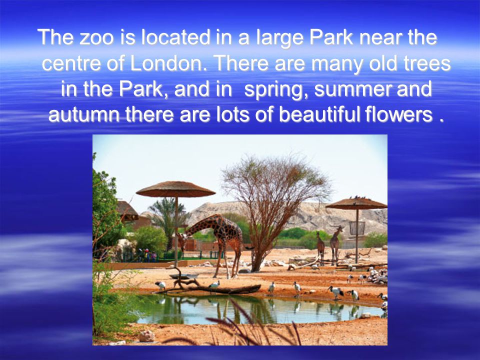 The zoo is located in a large Park near the centre of London.