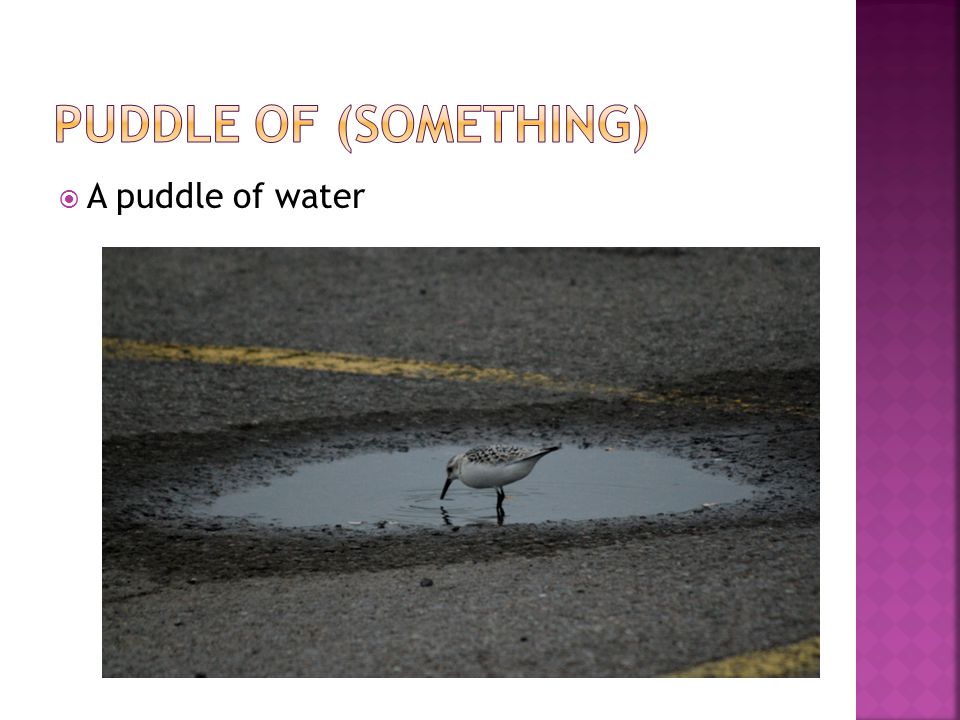  A puddle of water