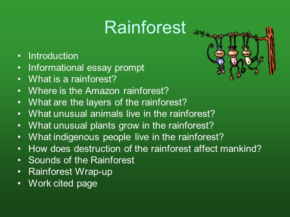 amazon rainforest essay writing