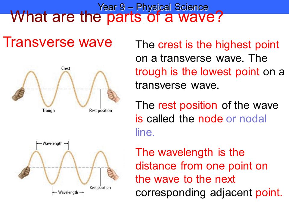 What are the parts of a wave. Transverse wave The crest is the highest point on a transverse wave.