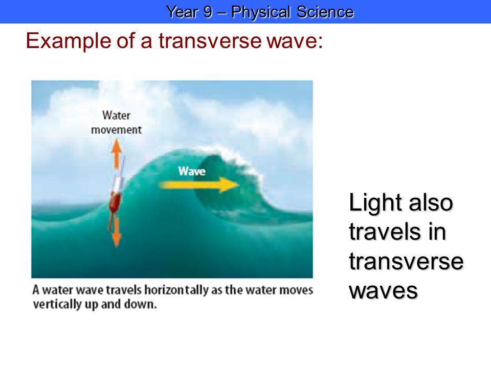 Year 9 – Physical Science Year 9 – Physical Science Example of a transverse wave: Light also travels in transverse waves