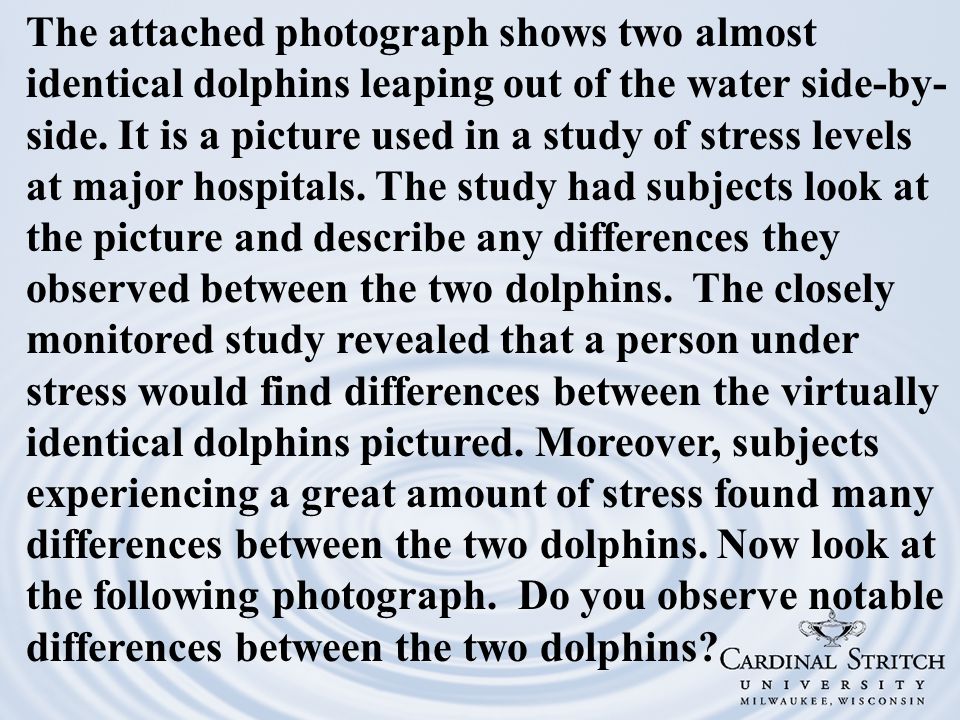 The attached photograph shows two almost identical dolphins leaping out of the water side-by- side.