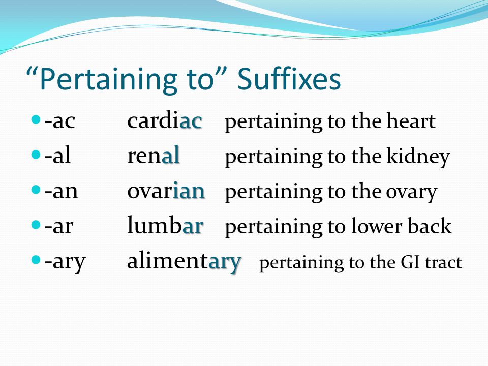At the end of a word to modify. “Pertaining to” Suffixes ac -accardiac  pertaining to the heart al -alrenal pertaining to the kidney ian -anovarian  pertaining. - ppt download