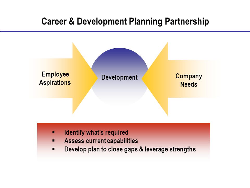 Career & Development Planning Partnership Development Employee Aspirations Company Needs  Identify what’s required  Assess current capabilities  Develop plan to close gaps & leverage strengths