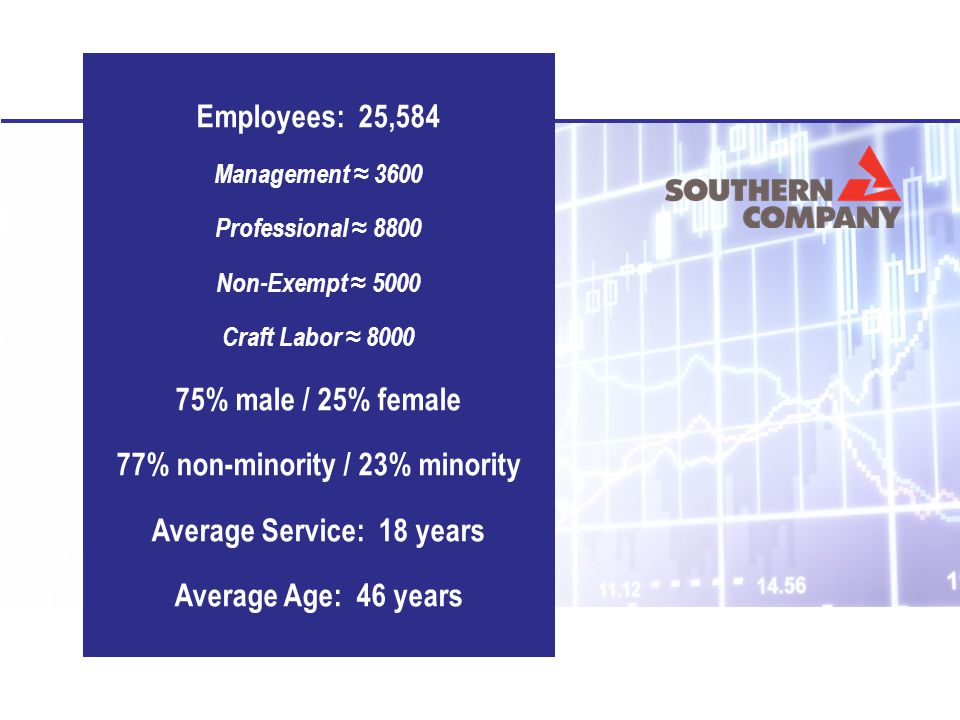 Business Results Southern Style Competencies Leadership Employees: 25,584 Management ≈ 3600 Professional ≈ 8800 Non-Exempt ≈ 5000 Craft Labor ≈ % male / 25% female 77% non-minority / 23% minority Average Service: 18 years Average Age: 46 years