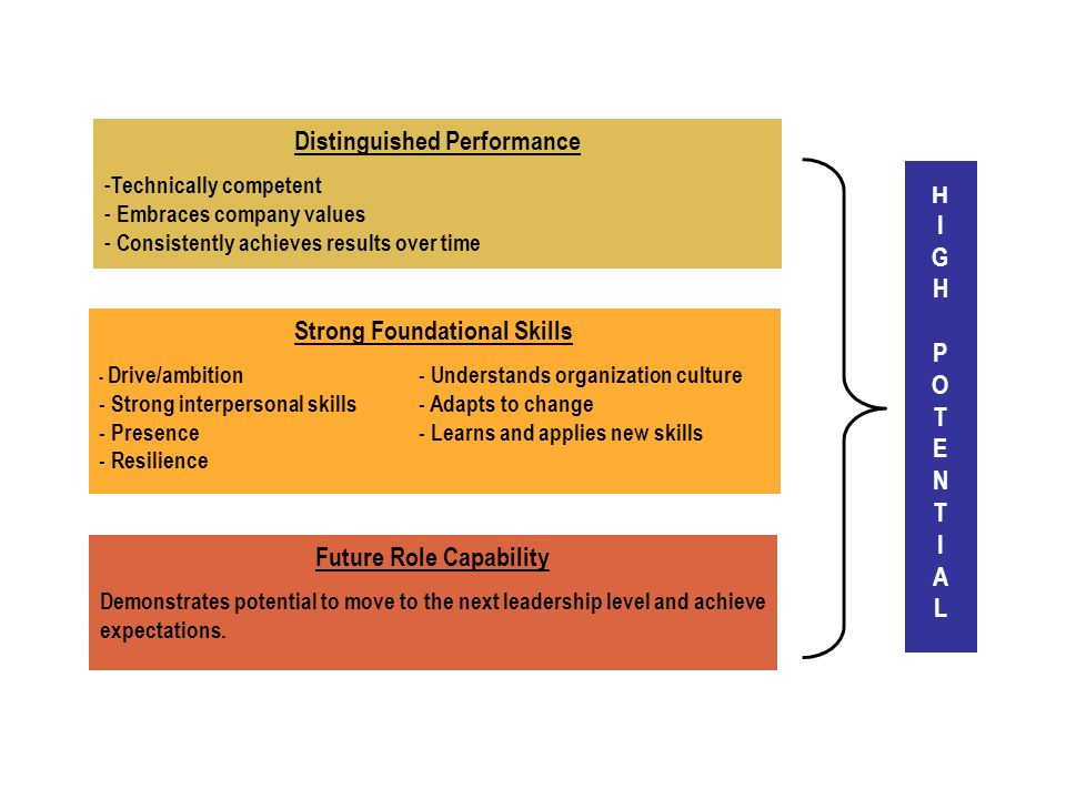 Strong Foundational Skills - Drive/ambition- Understands organization culture - Strong interpersonal skills - Adapts to change - Presence- Learns and applies new skills - Resilience Future Role Capability Demonstrates potential to move to the next leadership level and achieve expectations.