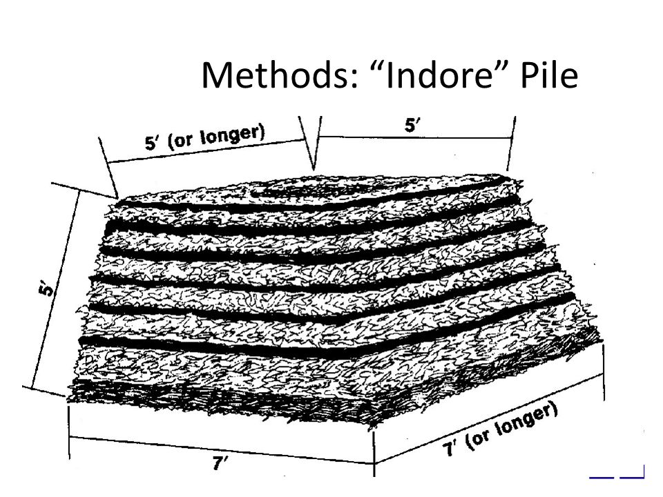 Methods: Indore Pile
