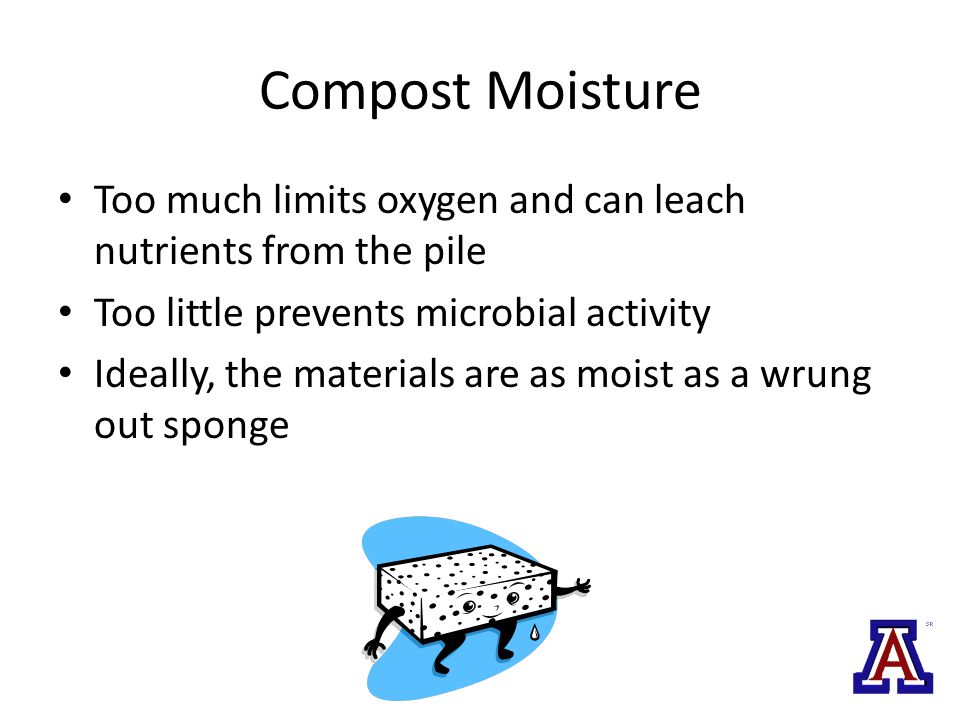 Compost Moisture Too much limits oxygen and can leach nutrients from the pile Too little prevents microbial activity Ideally, the materials are as moist as a wrung out sponge