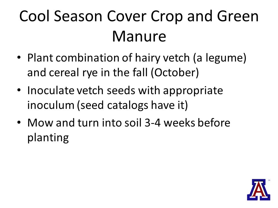Cool Season Cover Crop and Green Manure Plant combination of hairy vetch (a legume) and cereal rye in the fall (October) Inoculate vetch seeds with appropriate inoculum (seed catalogs have it) Mow and turn into soil 3-4 weeks before planting