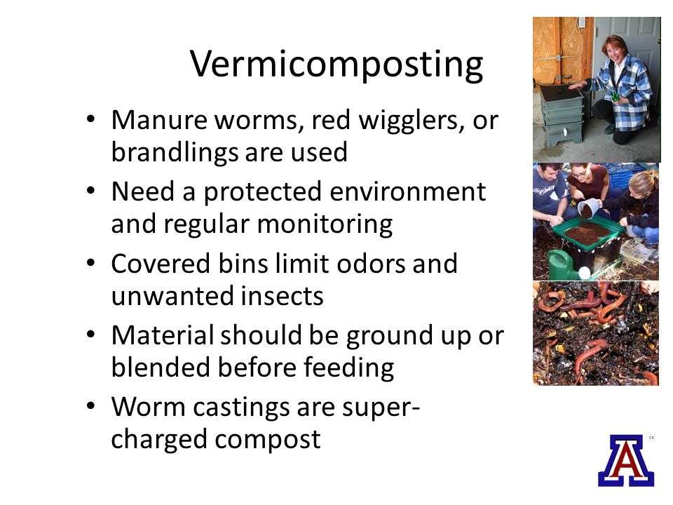 Vermicomposting Manure worms, red wigglers, or brandlings are used Need a protected environment and regular monitoring Covered bins limit odors and unwanted insects Material should be ground up or blended before feeding Worm castings are super- charged compost
