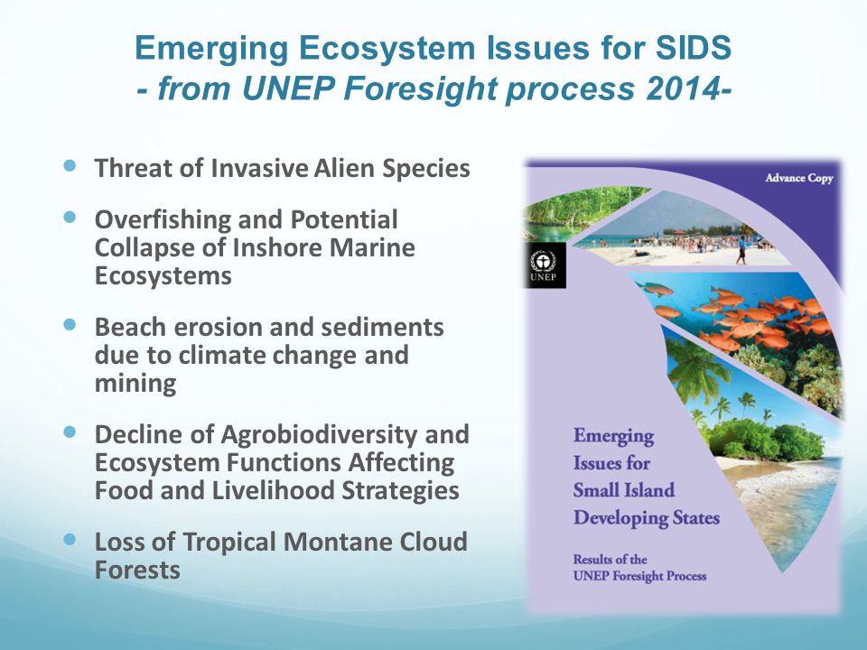 Emerging Ecosystem Issues for SIDS - from UNEP Foresight process Threat of Invasive Alien Species Overfishing and Potential Collapse of Inshore Marine Ecosystems Beach erosion and sediments due to climate change and mining Decline of Agrobiodiversity and Ecosystem Functions Affecting Food and Livelihood Strategies Loss of Tropical Montane Cloud Forests