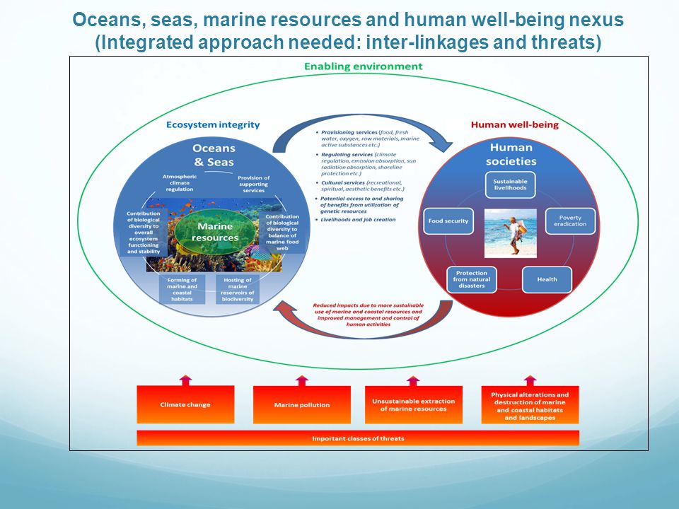 Oceans, seas, marine resources and human well-being nexus (Integrated approach needed: inter-linkages and threats)