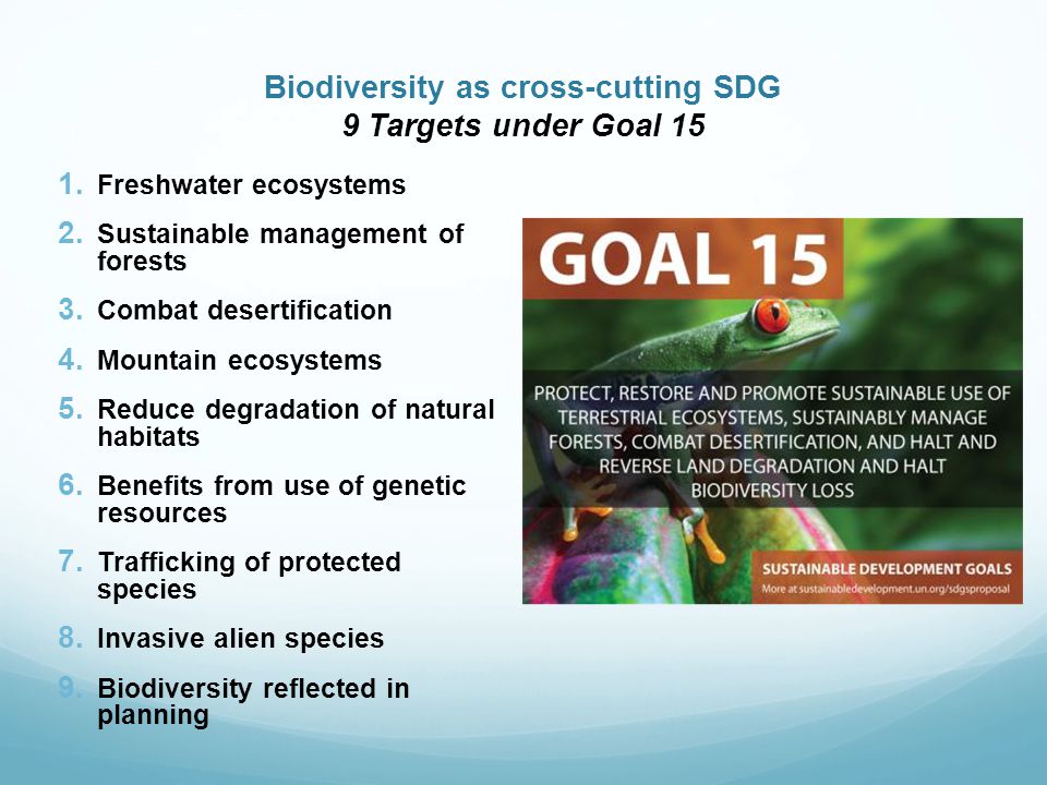 Biodiversity as cross-cutting SDG 9 Targets under Goal 15 1.
