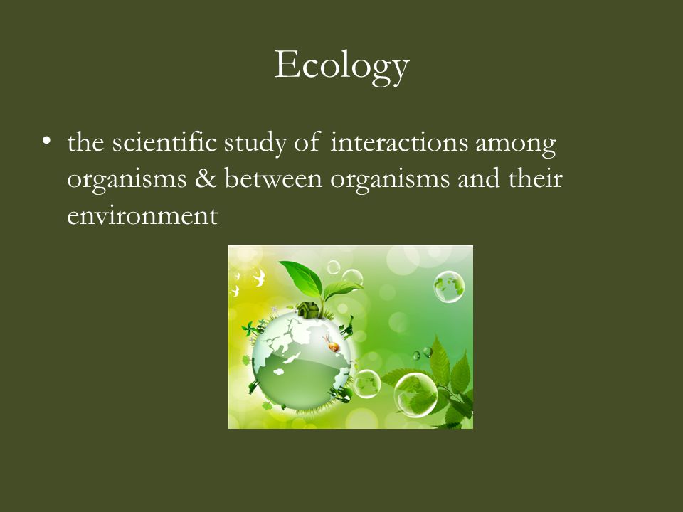 Ecology the scientific study of interactions among organisms & between organisms and their environment