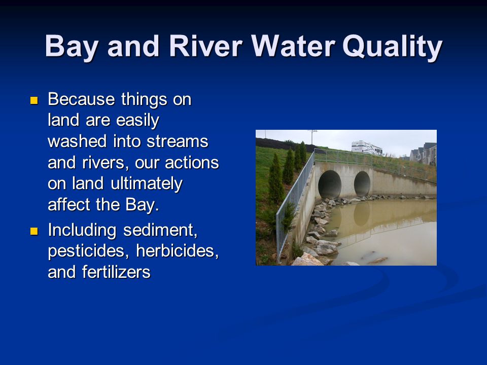 Bay and River Water Quality Because things on land are easily washed into streams and rivers, our actions on land ultimately affect the Bay.