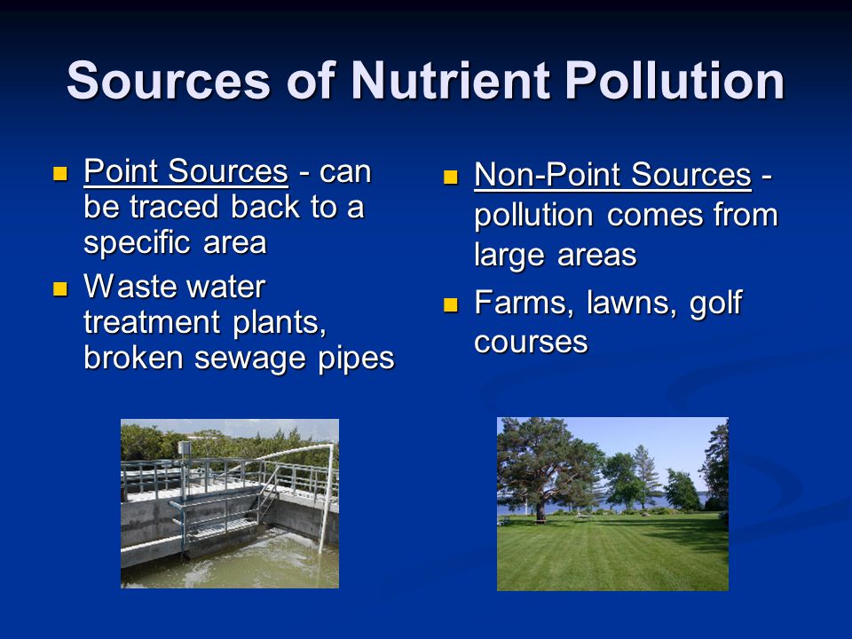 Sources of Nutrient Pollution Point Sources - can be traced back to a specific area Point Sources - can be traced back to a specific area Waste water treatment plants, broken sewage pipes Waste water treatment plants, broken sewage pipes Non-Point Sources - pollution comes from large areas Farms, lawns, golf courses