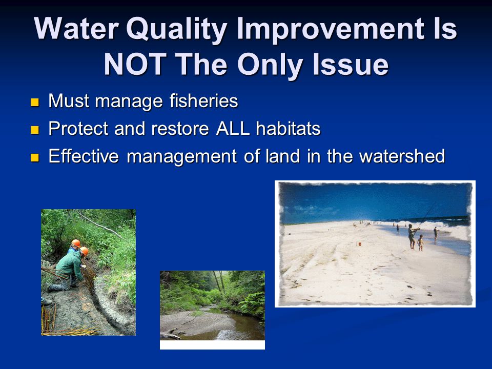 Water Quality Improvement Is NOT The Only Issue Must manage fisheries Must manage fisheries Protect and restore ALL habitats Protect and restore ALL habitats Effective management of land in the watershed Effective management of land in the watershed