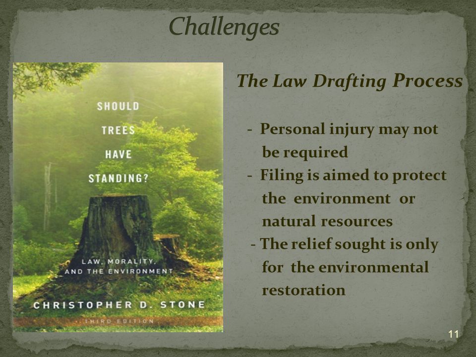 The Law Drafting Process - Personal injury may not be required - Filing is aimed to protect the environment or natural resources - The relief sought is only for the environmental restoration 11