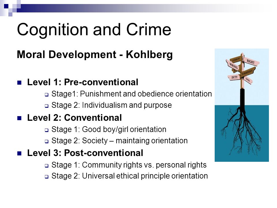 Individualistic Explanations Of Crime Chapter 2 Why Some Of Us Do It Why Don T We All Do It Seeks An Understanding Of Variation In The Criminal Behaviour Ppt Download