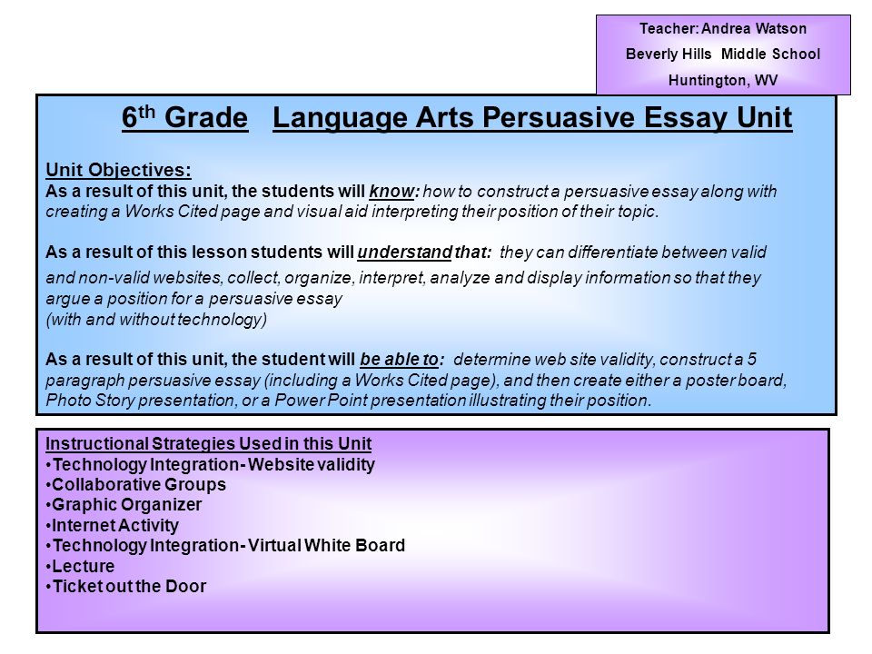 describe essay examples bio