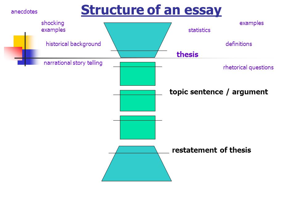 thesis topic sentence / argument restatement of thesis Structure of an essay anecdotes shocking examples statistics examples definitions rhetorical questions historical background narrational story telling