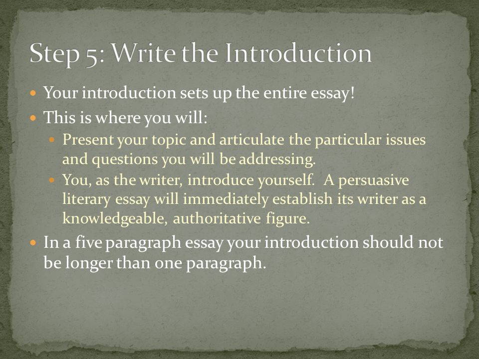 Your introduction sets up the entire essay.