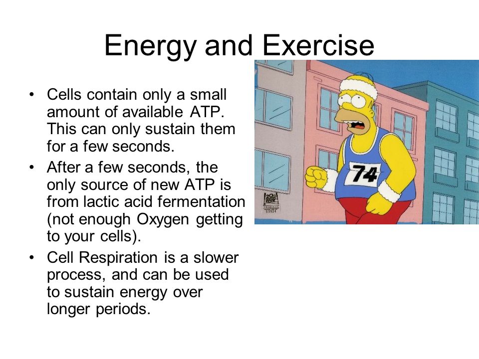 Energy and Exercise Cells contain only a small amount of available ATP.