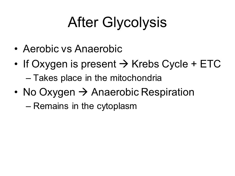 After Glycolysis Aerobic vs Anaerobic If Oxygen is present  Krebs Cycle + ETC –Takes place in the mitochondria No Oxygen  Anaerobic Respiration –Remains in the cytoplasm
