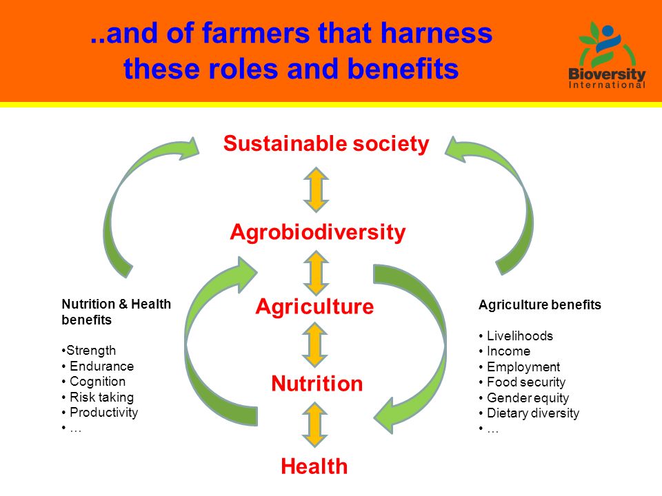 Agriculture Nutrition Health Agrobiodiversity Nutrition & Health benefits Strength Endurance Cognition Risk taking Productivity … Agriculture benefits Livelihoods Income Employment Food security Gender equity Dietary diversity …..and of farmers that harness these roles and benefits Sustainable society