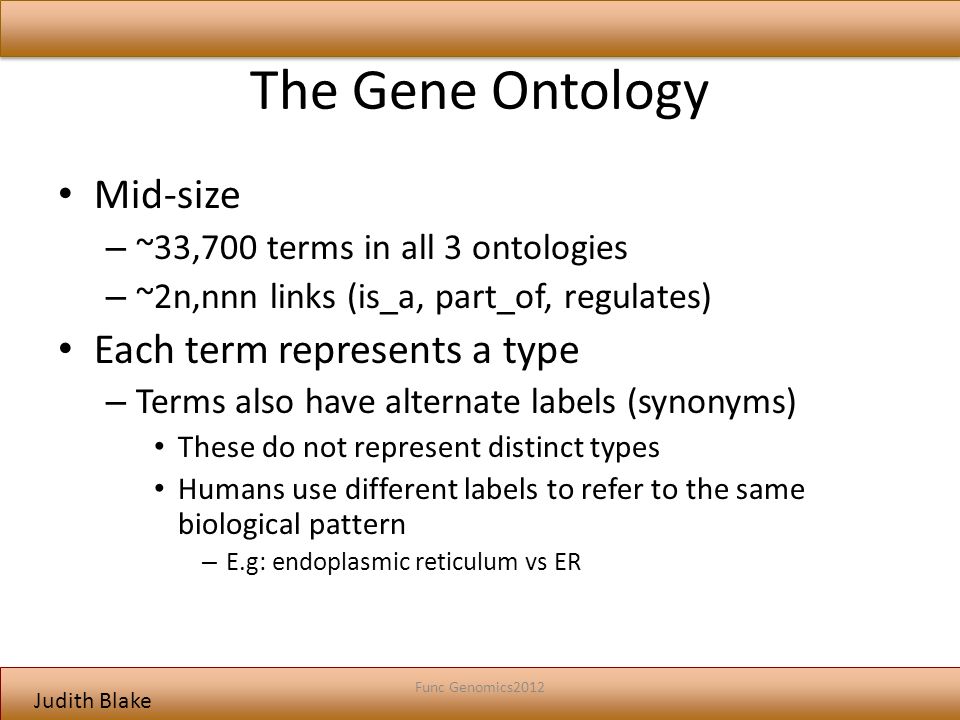 Judith Blake The Gene Ontology Mid-size – ~33,700 terms in all 3 ontologies – ~2n,nnn links (is_a, part_of, regulates) Each term represents a type – Terms also have alternate labels (synonyms) These do not represent distinct types Humans use different labels to refer to the same biological pattern – E.g: endoplasmic reticulum vs ER Func Genomics2012