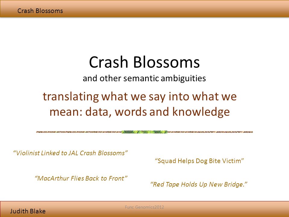 Judith Blake Crash Blossoms and other semantic ambiguities translating what we say into what we mean: data, words and knowledge Crash Blossoms Func Genomics2012 Violinist Linked to JAL Crash Blossoms MacArthur Flies Back to Front Squad Helps Dog Bite Victim Red Tape Holds Up New Bridge.