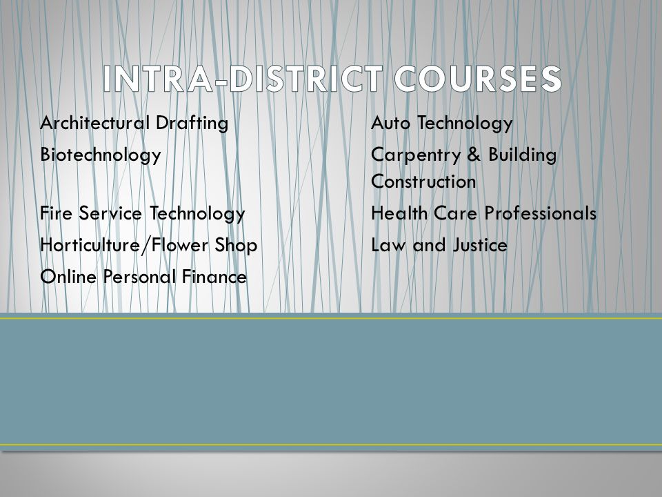Architectural DraftingAuto Technology BiotechnologyCarpentry & Building Construction Fire Service TechnologyHealth Care Professionals Horticulture/Flower ShopLaw and Justice Online Personal Finance