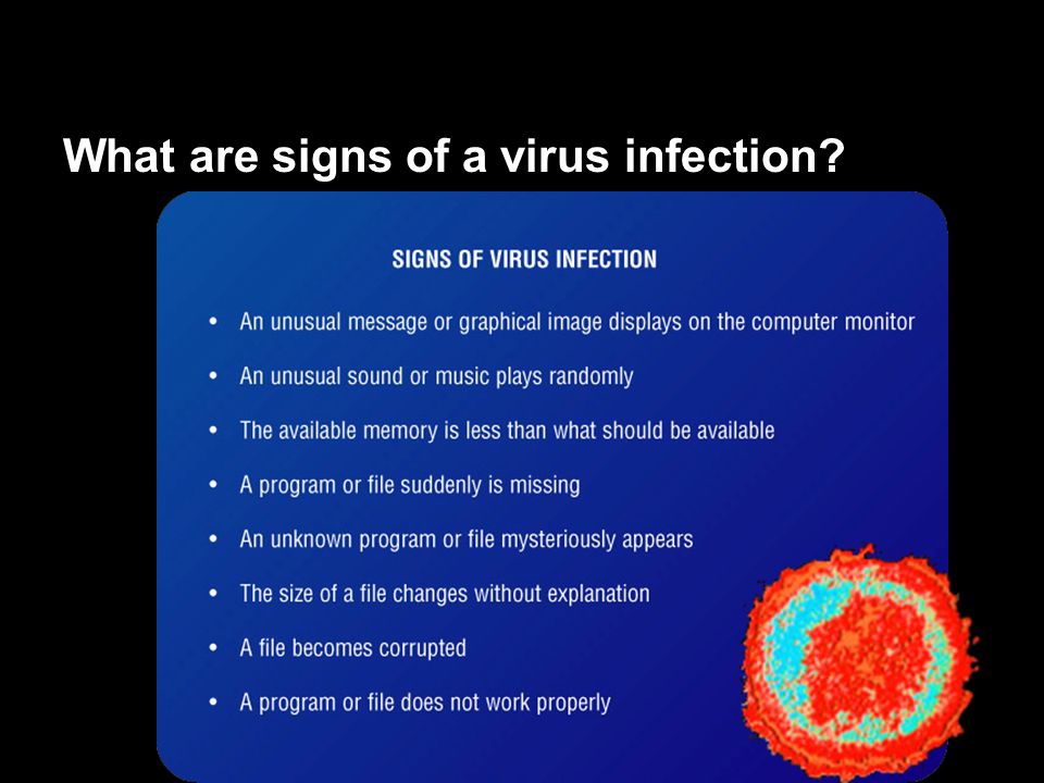 What are signs of a virus infection