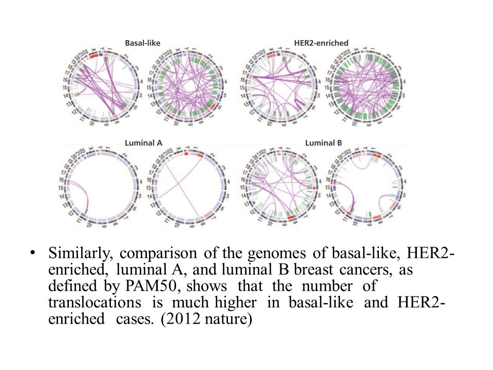Similarly, comparison of the genomes of basal-like, HER2- enriched, luminal A, and luminal B breast cancers, as defined by PAM50, shows that the number of translocations is much higher in basal-like and HER2- enriched cases.