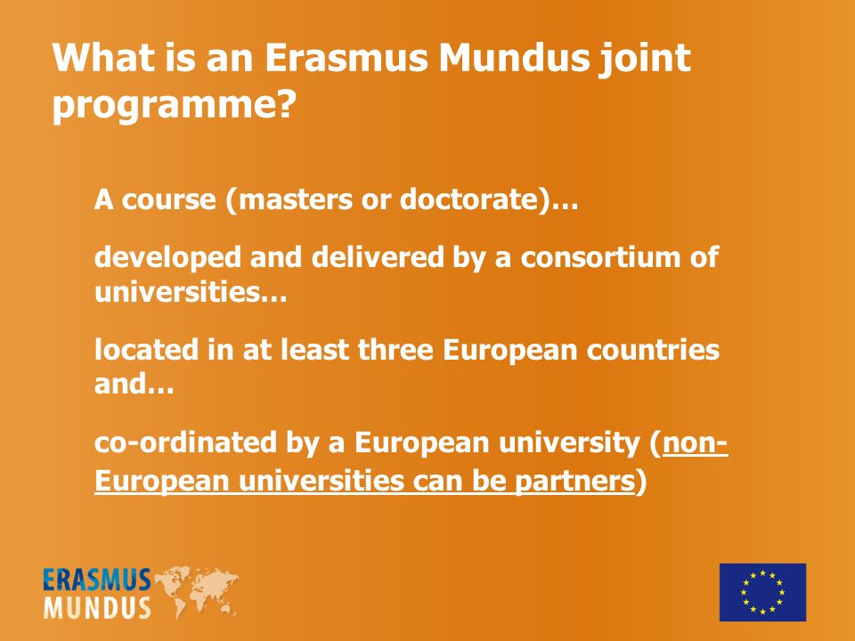 What is an Erasmus Mundus joint programme.