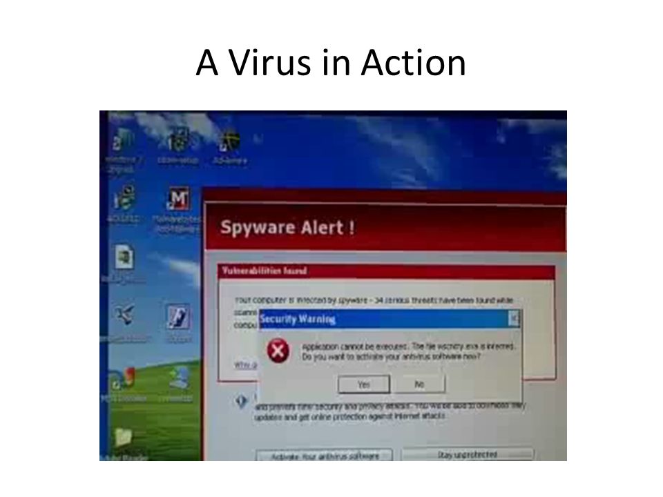 A Virus in Action