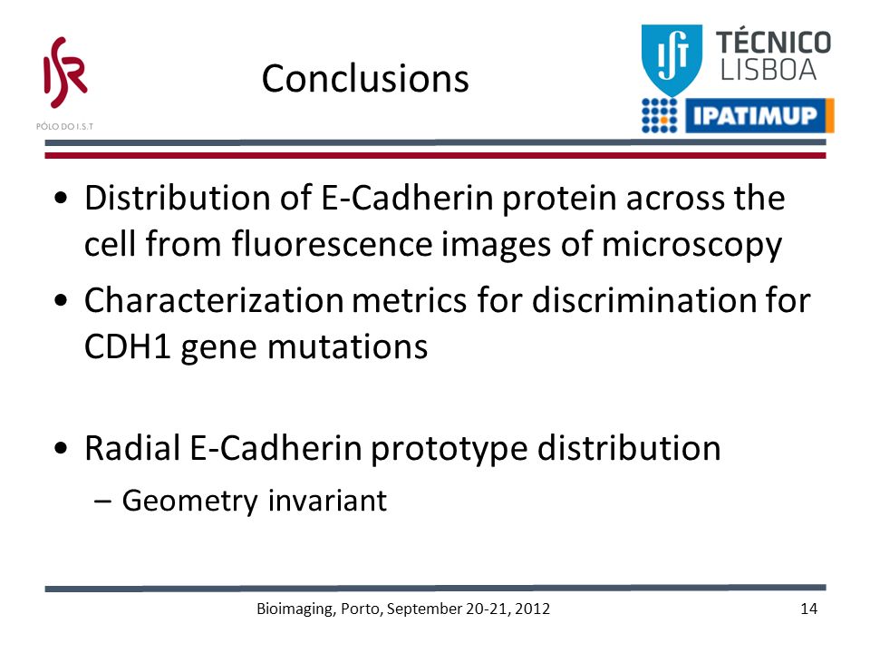 Conclusions Distribution of E-Cadherin protein across the cell from fluorescence images of microscopy Characterization metrics for discrimination for CDH1 gene mutations Radial E-Cadherin prototype distribution –Geometry invariant Bioimaging, Porto, September 20-21,