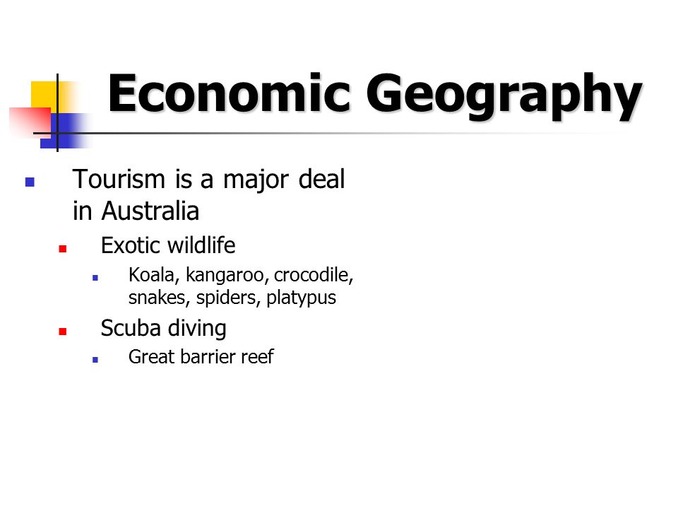 Economic Geography Tourism is a major deal in Australia Exotic wildlife Koala, kangaroo, crocodile, snakes, spiders, platypus Scuba diving Great barrier reef